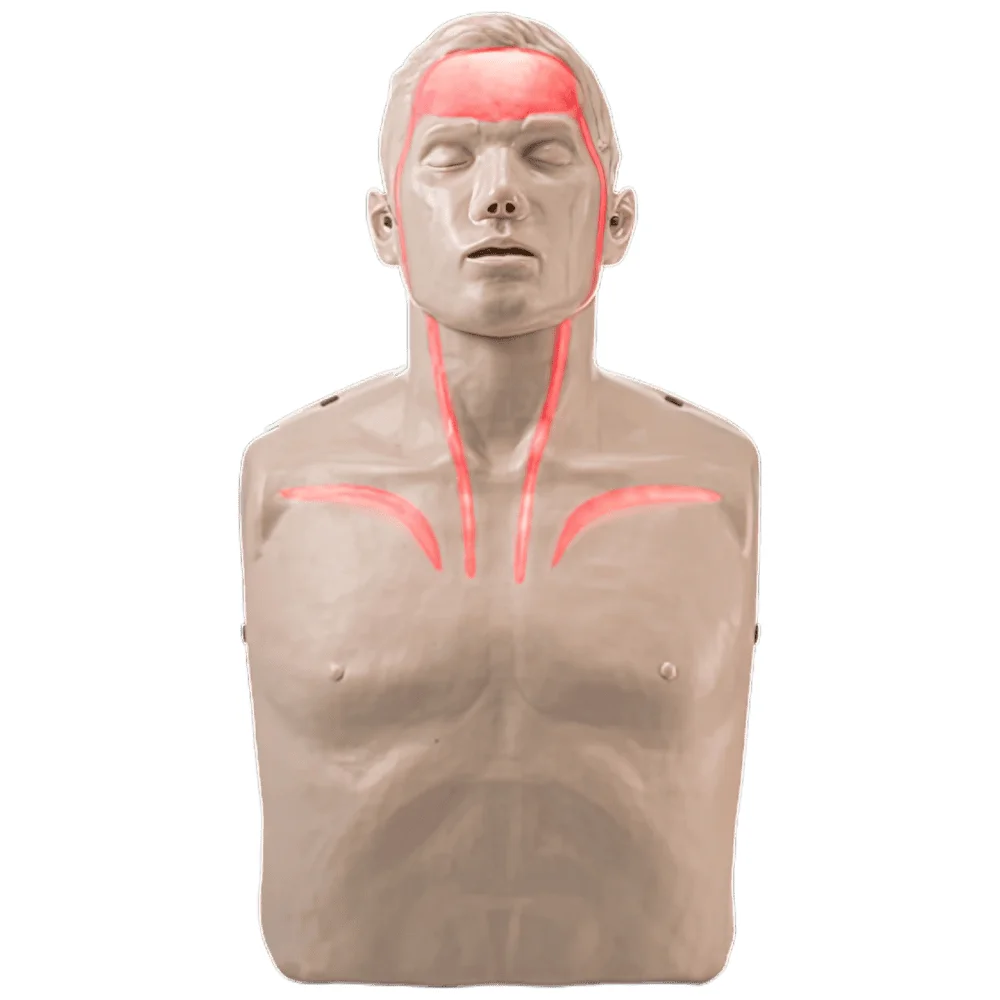 Brayden Pulse CPR Manikin